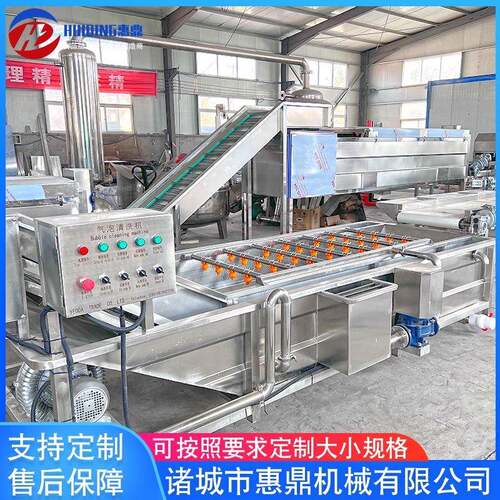 供应青萝卜喷淋清洗机蔬菜水果气泡多动能清洗机葡萄清洗机设备