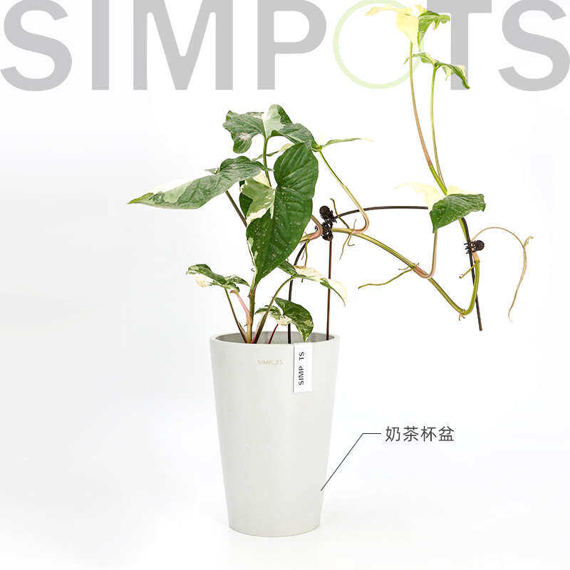 感simpots北欧日高级奢轻盆室内绿植树脂系花禅意黑胶花盆兰花