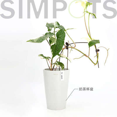 感simpots北欧日高级奢轻盆室内绿植树脂系花禅意黑胶花盆兰花