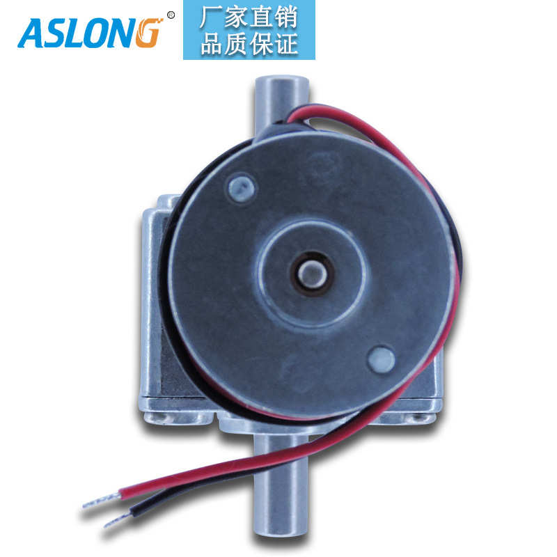ASLONG涡轮蜗杆减速电机 A58SW31ZYS 双出轴带自锁双轴承减速马达