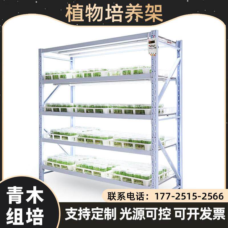 植物光照培养架实验室组培架子藻种食用菌栽培架置物架组培灯定制