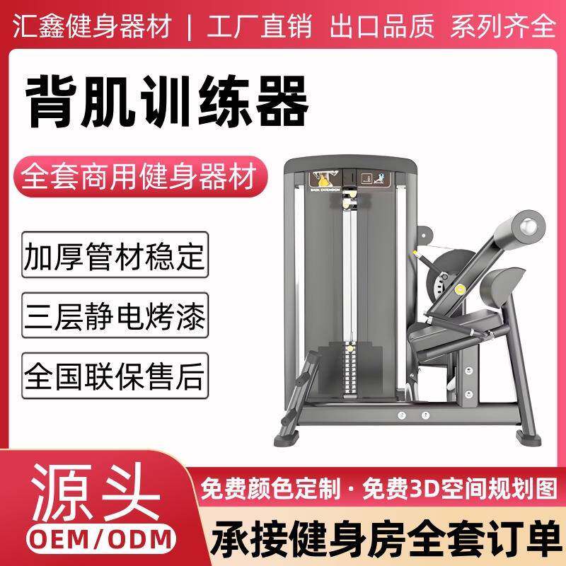 背肌训练器健身房商用腹肌背部伸展训练力量器械居家健身器材大全