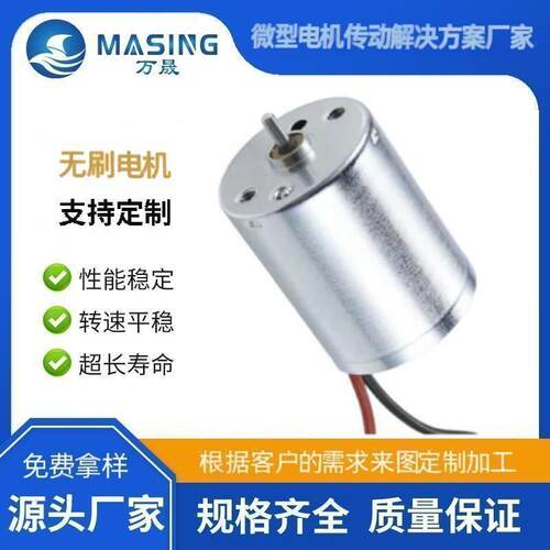 供应BL2430微型直流马达电子长寿命电动搅拌器370无刷电动电机12v