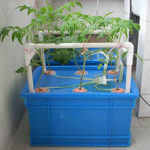 箱式无土栽培设备 阳台种菜 水培水耕蔬菜机 组合花架 盆栽