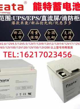 NEATA能特蓄电池NT12V2.3a2.6a4a5a7ah9a14a17a24a33a38a65a100ah