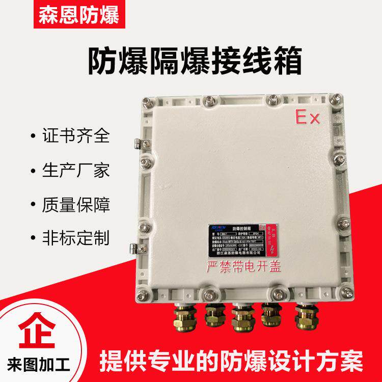 森恩防爆BJX300X300过线箱IP65铝合金配电箱(300×300×150mm)