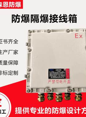 森恩防爆BJX300X300过线箱IP65铝合金配电箱（300×300×150mm）