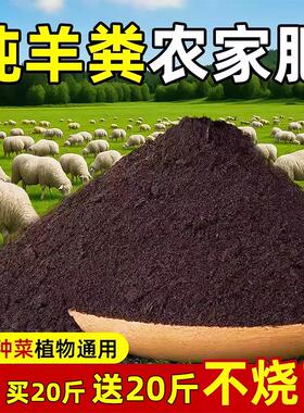 羊粪种菜种花发酵有机肥腐熟羊粪肥有机肥料蔬菜专用羊粪无异味