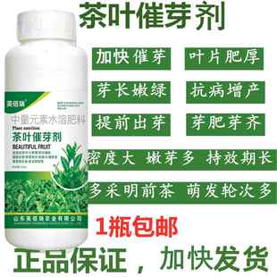 茶叶专用叶面肥催芽剂茶树肥料催芽素发枝素专用药爆芽增产催芽灵