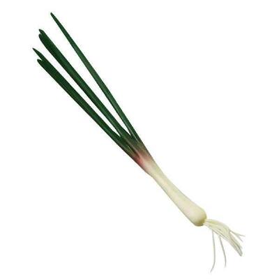 Simulated Onion Model Artificial Scallions Green Onions