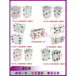 博斯特双向管式液压锁保压阀徐工三一板式油缸液压锁随车吊支腿锁