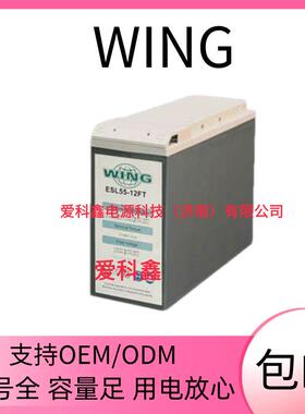 WING蓄电池 ESL55-12FT 12V55AH 通信基站机房船舶深循环电池