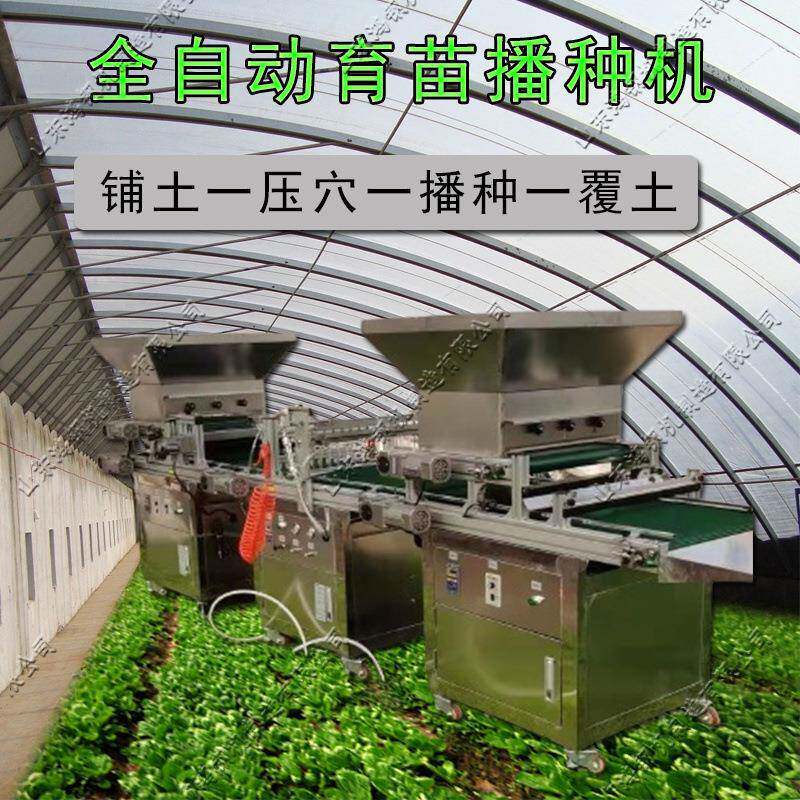 蔬菜大棚自动育苗机 全自动针吸式穴盘播种机 单机滚筒穴盘播种机