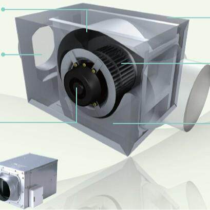 绿岛风Nedfon低噪音管道换气扇DPT10-24B管道排风机大风量抽风机