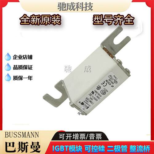 巴斯曼170M13 170M14系列 快速熔断器 现货供应品质保证欢迎咨询