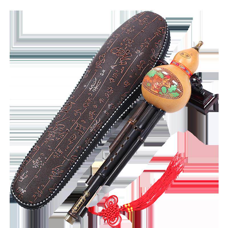 正品葫芦丝乐大初学儿小童学生专用D调成人入门零基础A调G调F器调