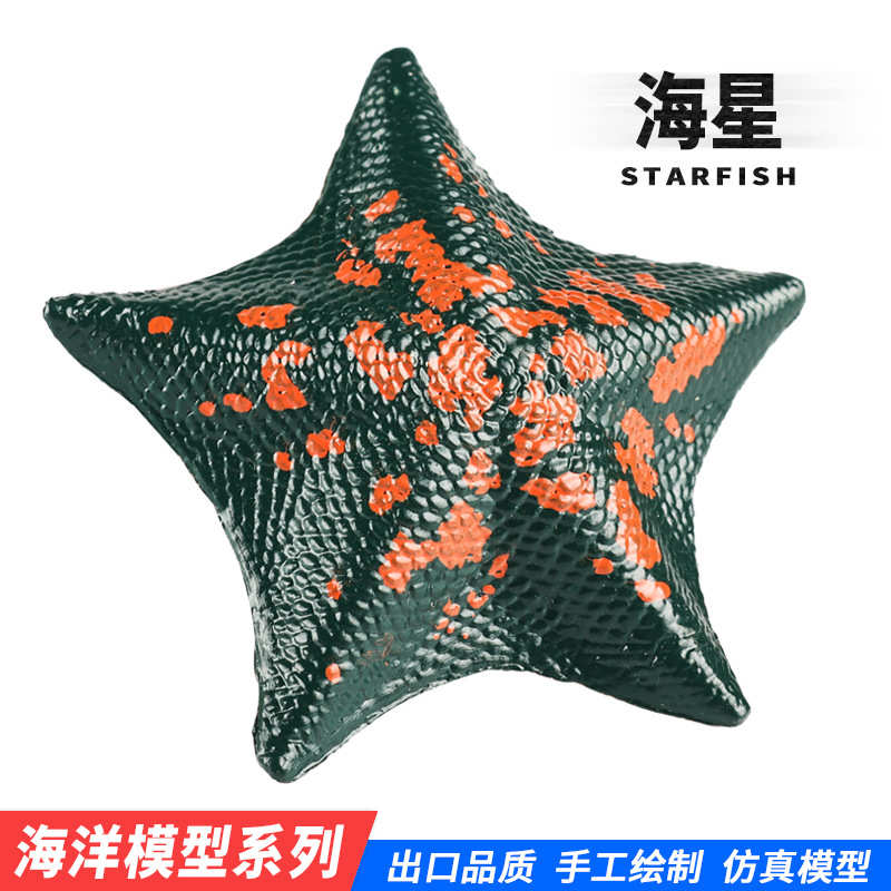 棘皮动物鱼缸装饰摆件海星模型实心仿真海洋生物动物儿童科教玩具