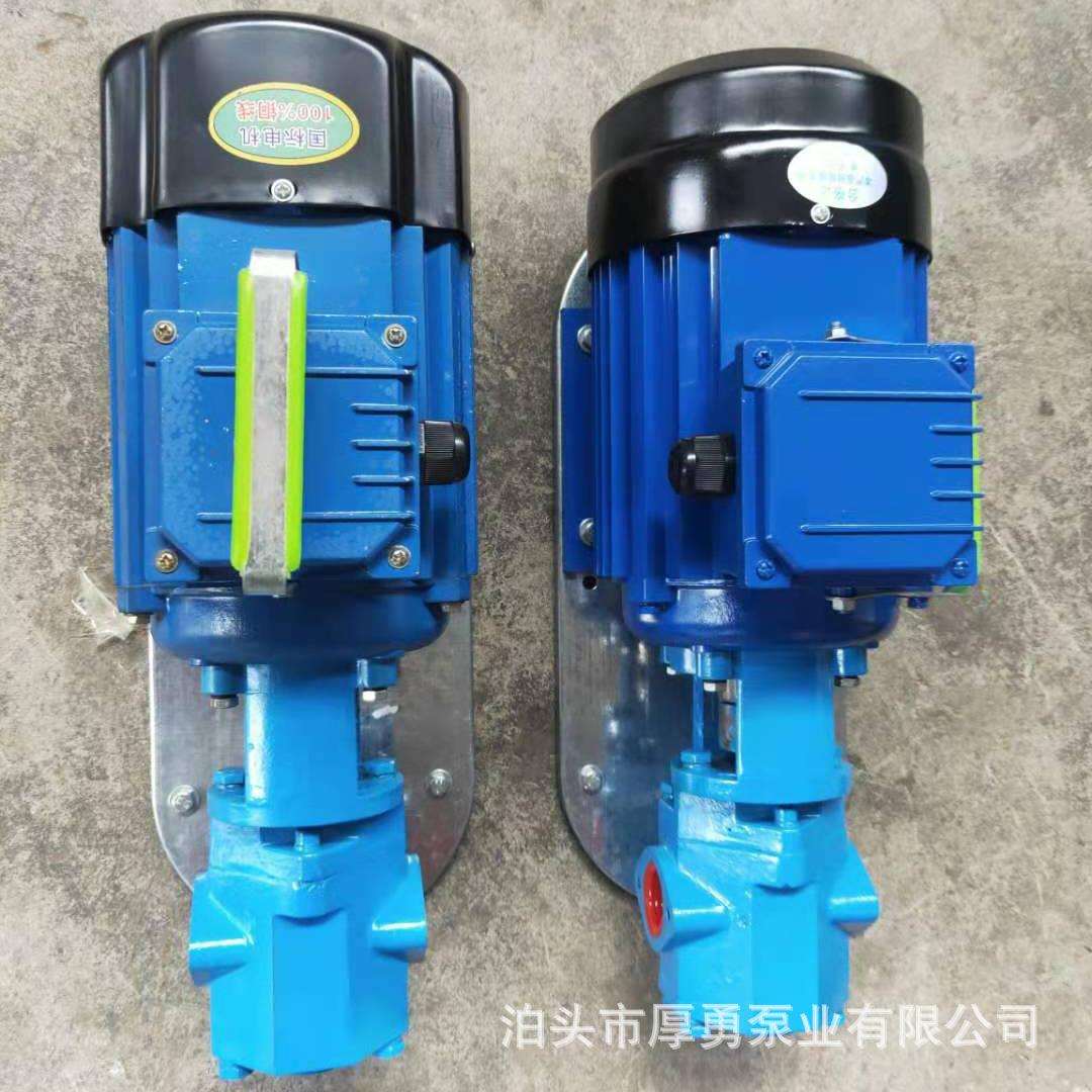 WCB-30手提式齿轮泵,不锈钢微型输油泵,WCB-100自吸齿轮油泵