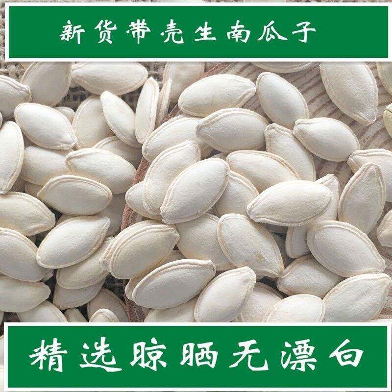 新货新鲜生南瓜子原味带壳南瓜籽仁饱满免洗烘培原料袋装零食瓜子
