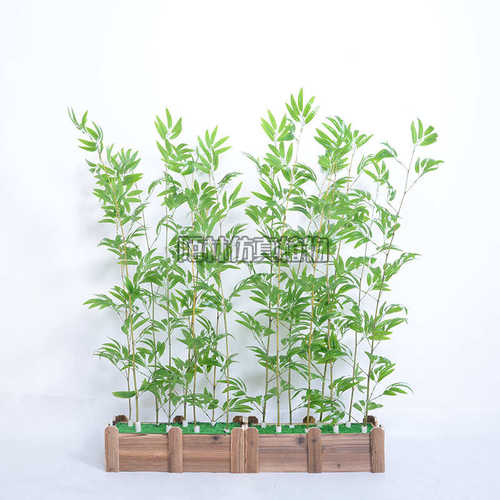 假庭院盆栽挡墙绿色绿装饰大隔断毛竹植物造景竹子室内外人造仿真