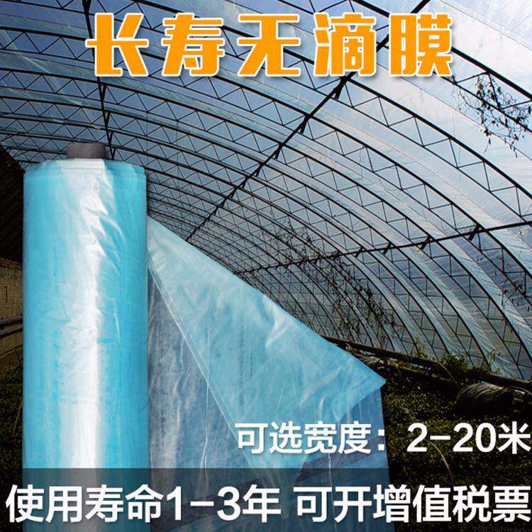 农用大棚膜PE长寿流滴淡蓝色抗老化蔬菜膜西瓜膜防膜无滴膜双膜