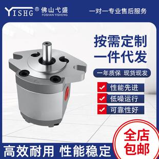 30R变量泵 油泵齿轮泵HGP