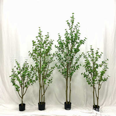 吊钟盆景树椿树装批发家居绿  叶盆栽树假软叶七星多瓣植