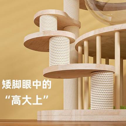 矮脚猫爬架实木猫窝猫树一体小型幼曼基康短脚短腿不占地猫小户型