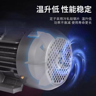 K18.5W全铜线卧式 马异达3MSD80V三相步流交电动机YE2电机