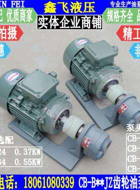 CB-B4JZ B6JZ B10JZ B2.5JZ齿轮油泵电机组YS7134 0.37 0.55KW