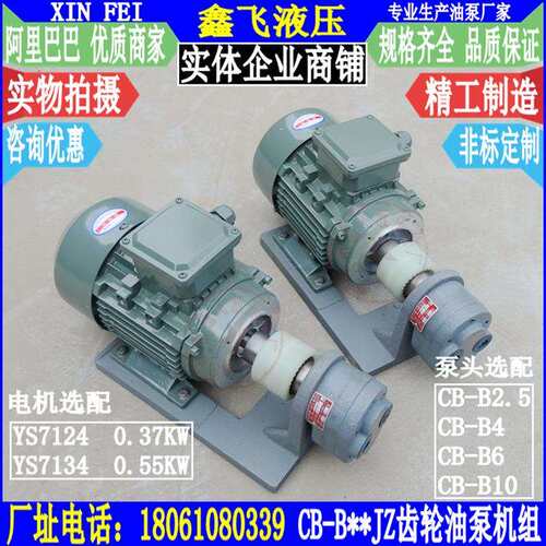 CB-B4JZ B6JZ B10JZ B2.5JZ齿轮油泵电机组YS7134 0.37 0.55KW