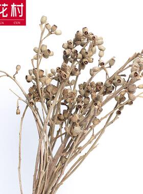 新款直销冷色系干花僵尸果 云南干花枝条 文艺家庭装饰花材