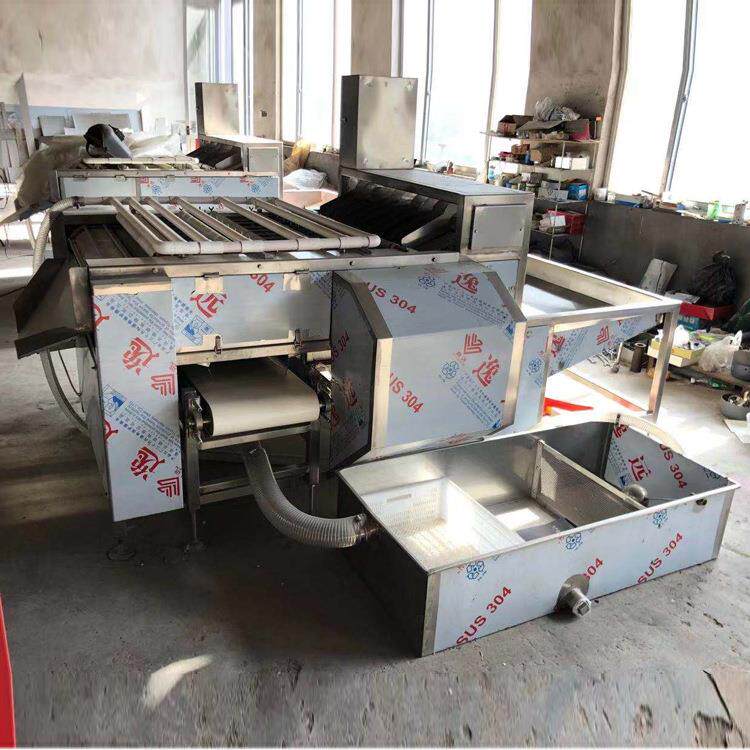 熏蛋卤蛋剥壳去皮机全自动熟蛋剥壳机鸡蛋鹌鹑蛋去皮设备