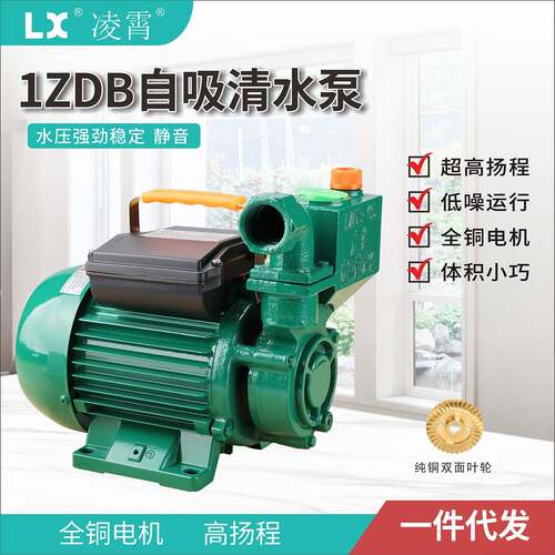 广东凌霄ZDB家用自来水自吸增压泵ZDB/ZD抽井水大流量农田灌溉泵