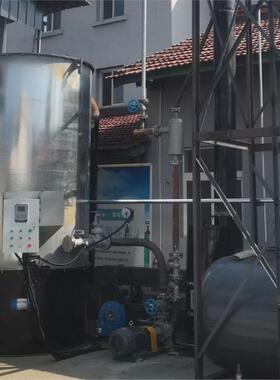 立能式生物质导热油有机热载体 多燃电料设计节节炉能炉BYC加热商