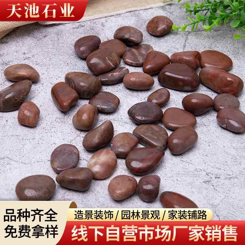 色鹅卵石抛光740灰色花石造景装饰红红色装雨饰红色红石子
