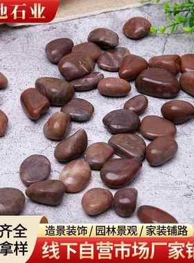 色鹅卵石抛光740灰色花石造景装饰红红色装雨饰红色红石子