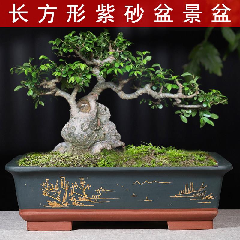 宜花兴长形紫砂景REM盆树桩方盆栽君盆子兰花绿植陶瓷盆特大号马
