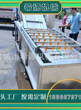 厂家供应果蔬清洗机 多功能枣辣椒气泡淋清洗机WLK喷大清 气泡洗