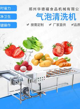 商用气泡清洗机 辣椒西红柿净菜加工流水线 鸡胗鸡爪清洗机械