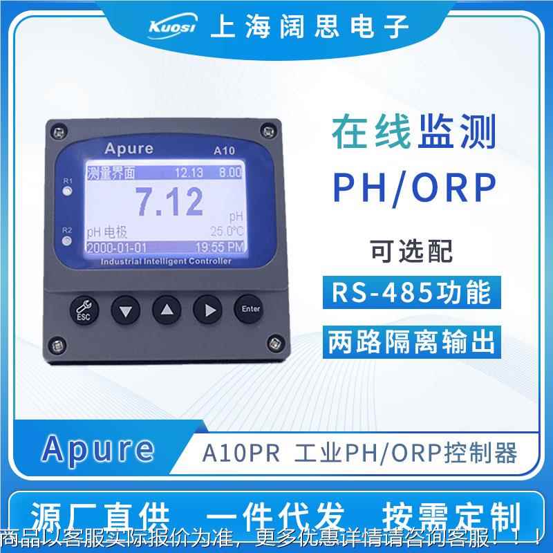 定制计酸度计10工业值检测仪控制器记录测试仪表仪器
