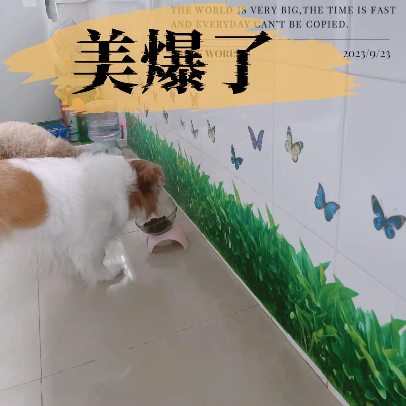 仿真绿草墙贴画客厅玄关走廊踢脚线田园橱窗玻璃装饰贴纸防水自粘