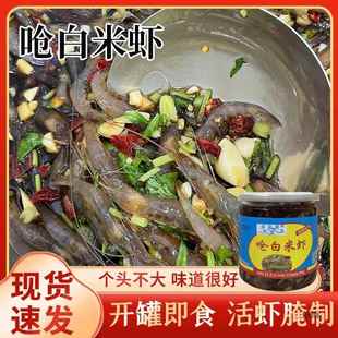 盐城醉虾 即食生呛小白虾生腌小青虾鲜活呛虾即食海鲜醉白米虾