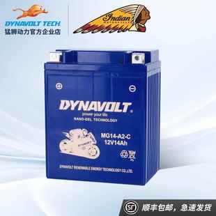 猛狮摩托车电瓶12V14A蓄电池嘉陵JH600印第安侦察兵轻骑CB750/250