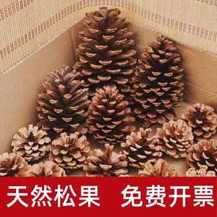 天然油松松果混合大小尺寸大中小diy装饰松果画幼儿园圣诞松果
