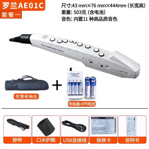 正品日本品Rland罗兰AE-01吹管老牌人电萨电克斯电子o乐器二胡AE0