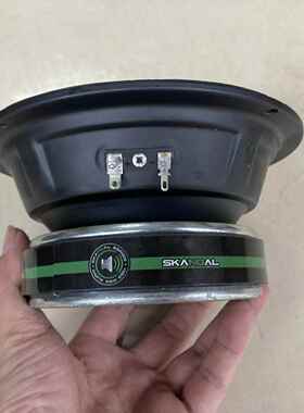 OYP65寸.喇叭音中大喇叭