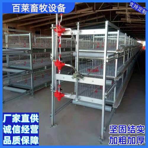 框架肉鸡笼全自动化半自动化养殖小鸡养鸡可供国内外