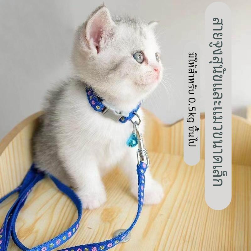拴猫绳猫项圈牵引绳猫绳超长幼猫牵引绳猫咪专用防挣脱可调节小奶