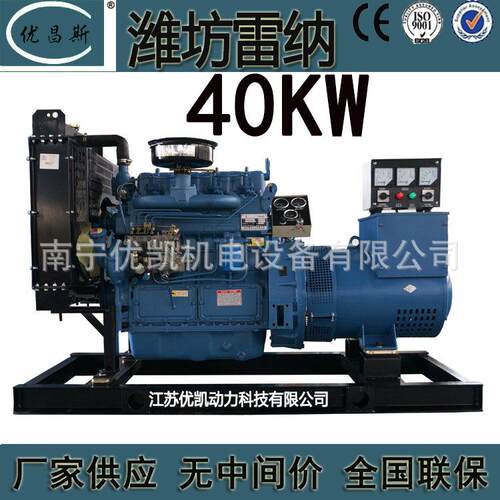 厂家40KW潍坊雷纳发电机组断电备用柴油机发电机户外应急电源